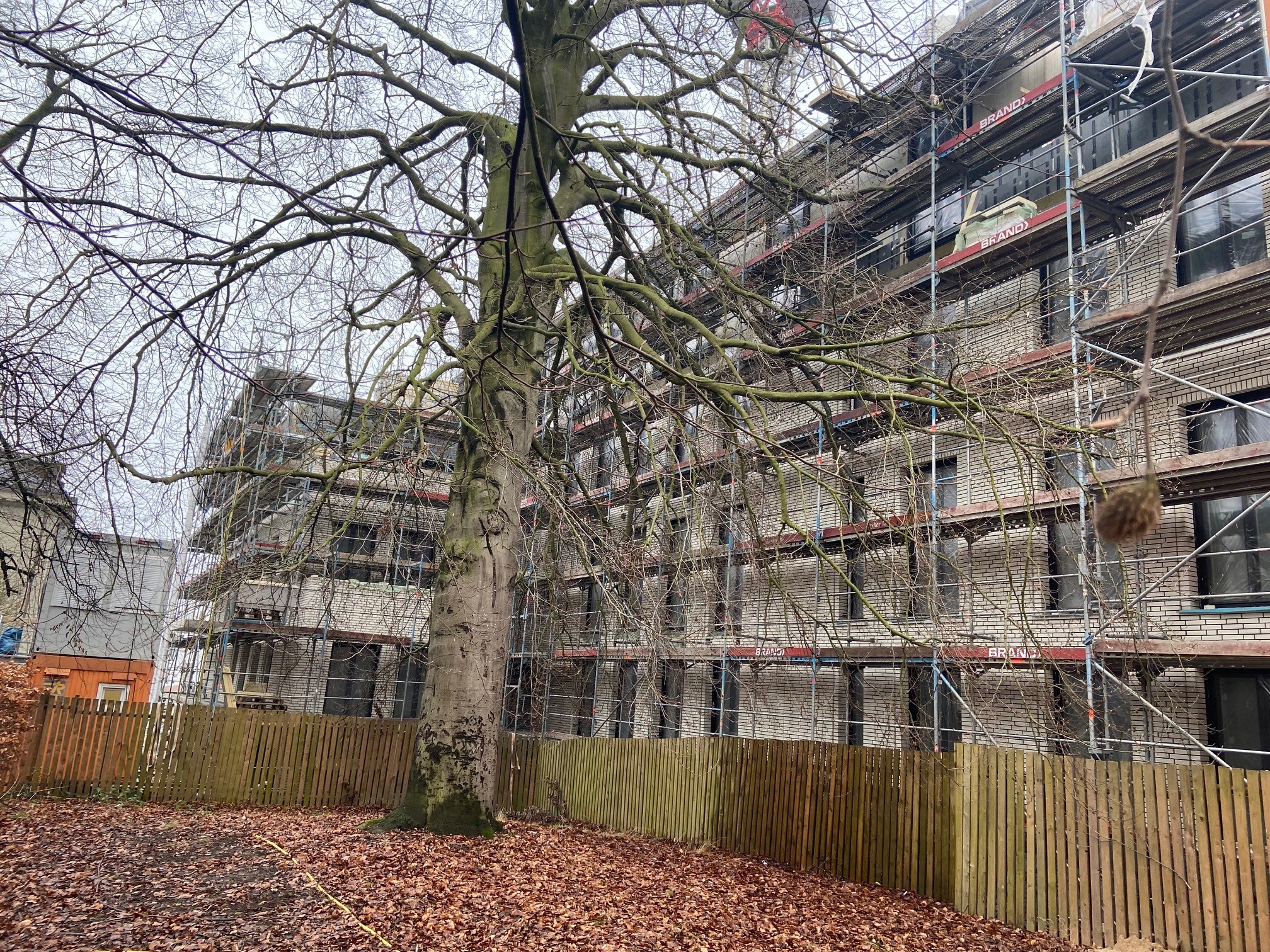 Ein Baustellenbild der Sophie in Hamburg